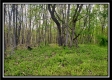 Tract 16 - The Views at Deer Ridge property photo