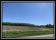 More of Tract 12 - Darby Farm at Scottslawn