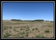 More of Tract 12 - Darby Farm at Scottslawn