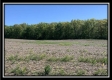 More of Tract 12 - Darby Farm at Scottslawn