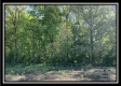 Tract 12 - Darby Farm at Scottslawn property photo