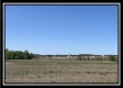 More of Tract 10 - Darby Farm at Scottslawn