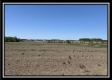 More of Tract 10 - Darby Farm at Scottslawn