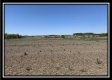 More of Tract 10 - Darby Farm at Scottslawn