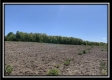 Tract 10 - Darby Farm at Scottslawn property photo