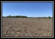 Tract 10 - Darby Farm at Scottslawn property photo