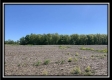 More of Tract 11 - Darby Farm at Scottslawn