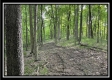 More of Hocking Hills Retreat