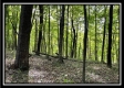 More of Hocking Hills Retreat
