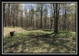 More of The Woods at Pike Forest - Tract 5
