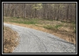 More of The Woods at Pike Forest - Tract 5