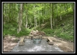 More of Hocking Hills Retreat - Tract 1