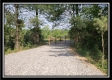 More of Tract 2 - The Views at Deer Ridge