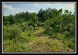 More of Tract 2 - The Views at Deer Ridge