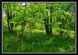 Tract 2 - The Views at Deer Ridge property photo