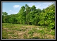 Tract 2 - The Views at Deer Ridge property photo