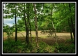 More of Tract 9 - The Views at Feathers Ridge Farm