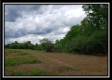 Tract 9 - The Views at Feathers Ridge Farm property photo