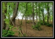 Tract 7 - The Views at Feathers Ridge Farm property photo