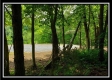 More of Tract 6 - The Views at Feathers Ridge Farm