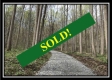 Tract 4 - The Woods at Pike Forest
