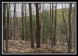 Tract 9 - The Woods at Pike Forest property photo