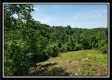 Black Berry Hill Cabin at Deer Ridge property photo