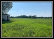 More of Tract 7 - Pleasant Valley Woods