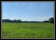 More of Tract 7 - Pleasant Valley Woods