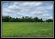 More of Tract 7 - Pleasant Valley Woods