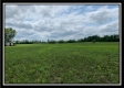 Tract 7 - Pleasant Valley Woods property photo