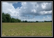 More of Tract 1 - Pleasant Valley Woods