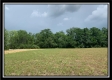 More of Tract 1 - Pleasant Valley Woods