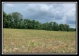 More of Tract 1 - Pleasant Valley Woods