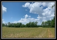 Tract 1 - Pleasant Valley Woods property photo