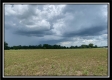 More of Tract 2 - Pleasant Valley Woods