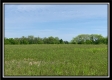 More of Tract 6 - Pleasant Valley Woods