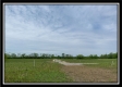 More of Tract 6 - Pleasant Valley Woods