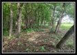 Tract 6 - Pleasant Valley Woods property photo