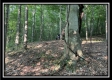 More of Hunters Ridge
