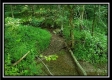 More of Tract 4 - The Views at Feathers Ridge Farm