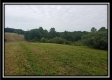 More of Tract 8 - The Views at Feathers Ridge Farm