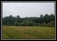 More of Tract 8 - The Views at Feathers Ridge Farm