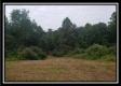 More of Tract 8 - The Views at Feathers Ridge Farm