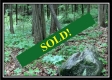 Tract 5 - Pleasant Valley Woods