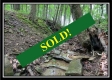 Tract 4 - Pleasant Valley Woods