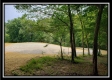 More of Tract 1 - The Views at Feathers Ridge Farm