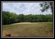 More of Tract 1 - The Views at Feathers Ridge Farm