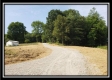 More of Tract 3 - The Views at Feathers Ridge Farm