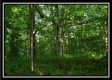 Tract 3 - The Views at Feathers Ridge Farm property photo